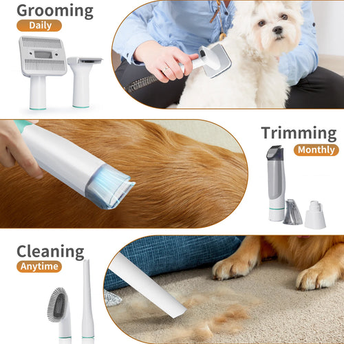 Kit toilettage avec aspiration et tondeuse silencieuse